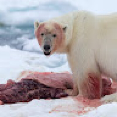 Brecht zoekt een Kamer in Leuven